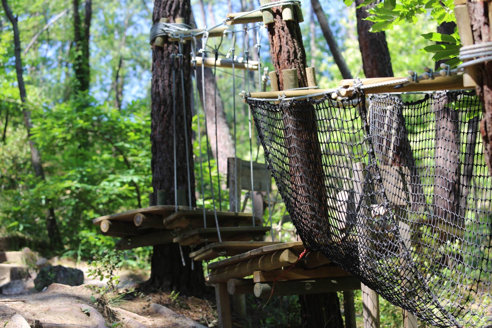 accrobranche fontaine de vaucluse